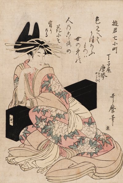 印刷品--歌妓Chojiya Karakoto，18世纪 作者 北川宇多郎