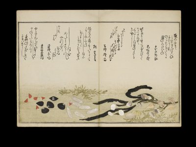 Shiohi no tsuto（来自大浪淘沙的礼物），被称为Shell Book，1789（彩色木版画） 作者 北川宇多郎