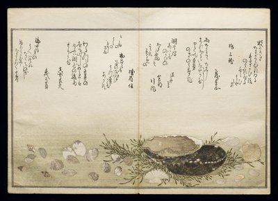 Shiohi no tsuto（来自大浪淘沙的礼物），被称为Shell Book，1789（彩色木版画） 作者 北川宇多郎