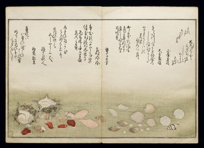 Shiohi no tsuto（来自大浪淘沙的礼物），被称为Shell Book，1789（彩色木版画） 作者 北川宇多郎