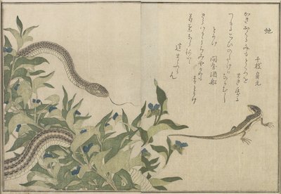 Snake and Lizard，1788（彩色木版画） 作者 北川宇多郎