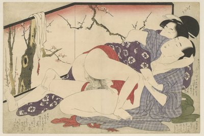 在折叠屏风旁做爱的情侣
Negai no itoguchi（系列名称） 作者 北川宇多郎
