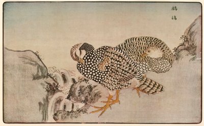 野鸡，1789年，1924年。 作者 北尾正好