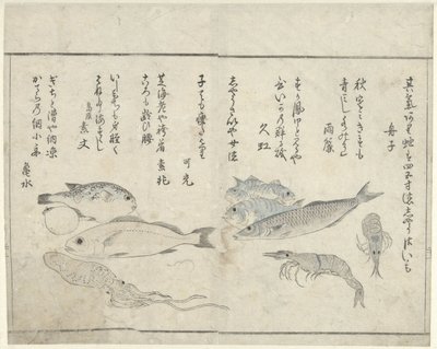 馈送 作者 北尾正好