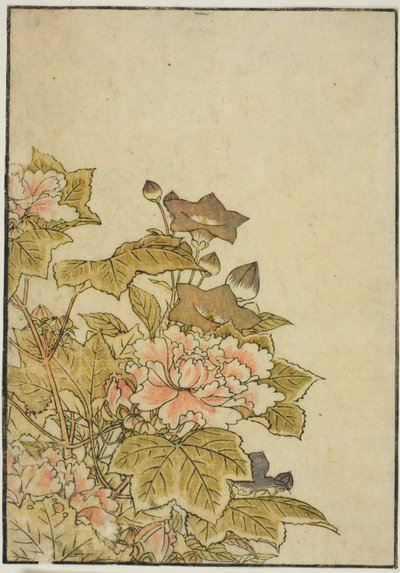 秋花：牡丹和风铃花，选自《悦己镜》第 2 卷。 作者 北尾重正