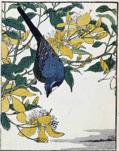 树上的鸟。 Kitao Kosuisai 的日本绘画 作者 北尾重正