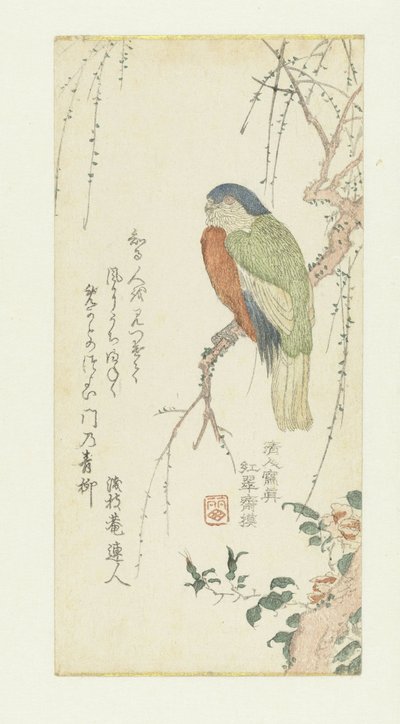 李子树上的鹦鹉 作者 仙仙隼人
