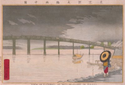 东京新大桥（以前也是东经）上的降水景观 作者 小林清史