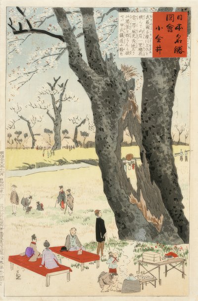 小金井，樱花 作者 小林清史