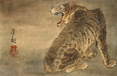 老虎和闪电 作者 小林清史