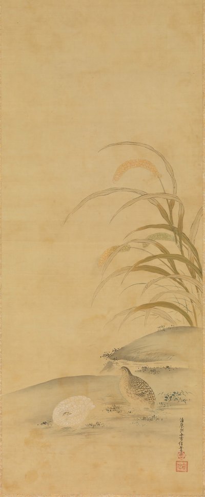 鹌鹑和小米，17世纪末。 作者 清原雪信