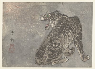 老虎和闪电 作者 小林清一