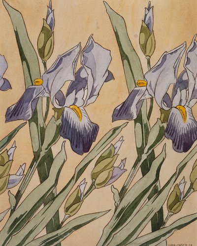 虹膜，1898年 作者 科洛曼·莫泽（Koloman Moser）