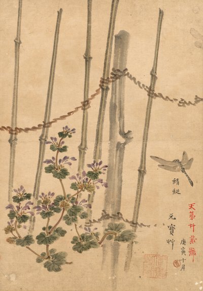 竹篱笆和菊花c。 1890年。 作者 河野白令