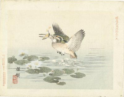 翠鸟
百灵花鸟素描（系列标题）
Barei kacho gafu（物体上的系列标题） 作者 青木小三郎