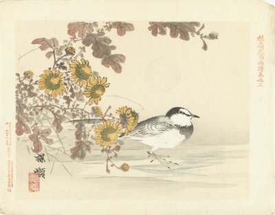 鹡鸰
百灵花鸟素描（系列标题）
百灵花鸟素描（系列名称标在实物上） 作者 青木小三郎