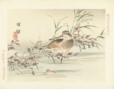鹬
百灵花鸟素描（系列标题）
Barei kacho gafu（物体上的系列标题） 作者 青木小三郎