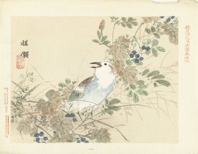 秋草中的鸣鸟
百合的花鸟素描（系列标题）
百合花"（系列标题，印在实物上） 作者 青木小三郎