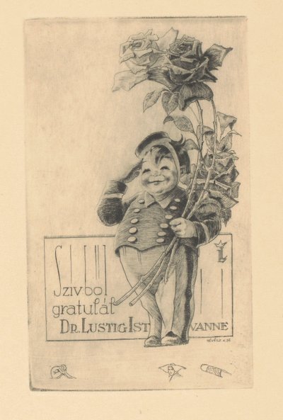 祝贺伊斯特万·卢斯蒂格 衷心祝贺博士。 István Lustig（物体上的标题） 作者 科内尔·雷维斯