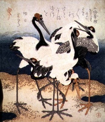 五只白羽鹤在沙嘴上的各种姿势，来自《三瓣》系列，约1816年（水墨）。 作者 久保申曼