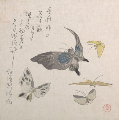 蝴蝶，19世纪。 作者 久保顺曼