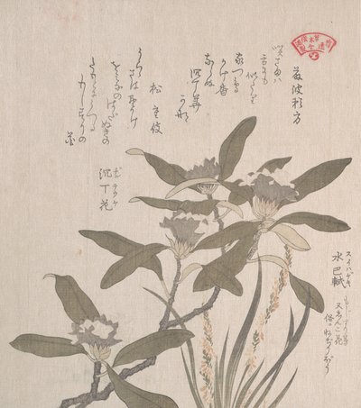 Daphne odora和Mojisuri-so，19世纪。 作者 久保顺曼