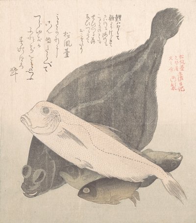 比目鱼和其他鱼类，19世纪。 作者 久保顺曼