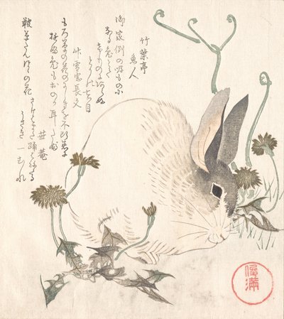 野兔和蒲公英，大概在1820年。 作者 久保顺曼