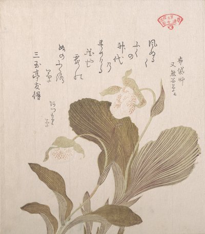荷亭花，19世纪。 作者 久保顺曼