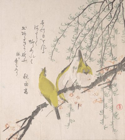 日本白眼狼与梅树和柳树......，约1810年。 作者 久保顺曼
