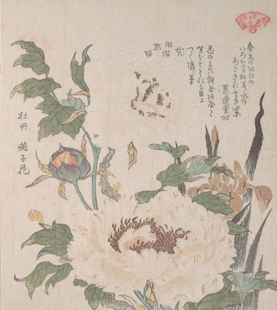 牡丹和鸢尾花，19世纪。 作者 久保顺曼