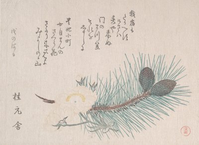 松树和樱花，大概在1814年。 作者 久保顺曼