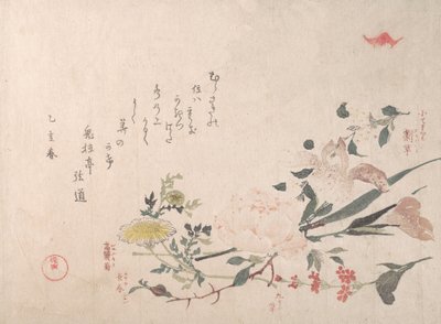 玫瑰、鸢尾花、报春花和雏菊，1815年。 作者 久保顺曼