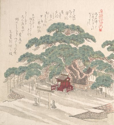 大松树下的神龛，19世纪。 作者 久保顺曼