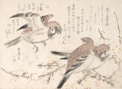 麻雀与梅花》，19世纪。 作者 久保顺曼