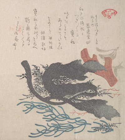 各种海藻，19世纪。 作者 久保顺曼