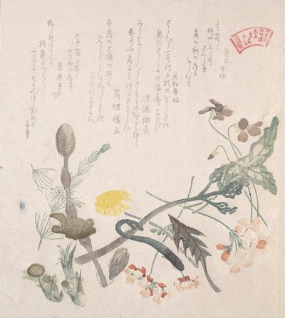 紫罗兰、报春花和其他春季花卉，19世纪。 作者 久保顺曼