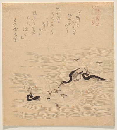鸬鹚和海鸥聚集嬉戏的地方》，选自《托萨-尼基》系列 作者 久保顺曼