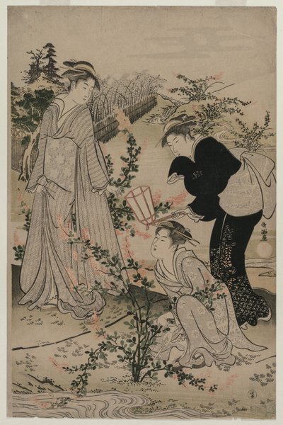 1780年代后期，女性切割了布什的三叶草的分支，近江省的野寺多摩河... 作者 久保顺曼