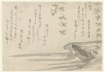 柳树下的青蛙 作者 Shoyûtei 音经
