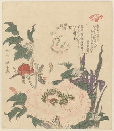 牡丹和鸢尾花 Kakitsubata botan（物体上的标题） 霞诗人协会植物选（丛书名） Kasumiren sômoku awase（物体上的系列标题） 作者 古伦多·中久保