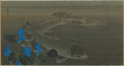 鲤鱼，江户时代，19世纪初。 作者 黑田东子