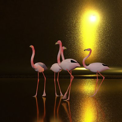 夜晚站在平原上 作者 库尔特赫普克