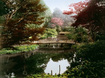 日本观赏花园盛开（手上色蛋白打印卡） 作者 日下金兵卫