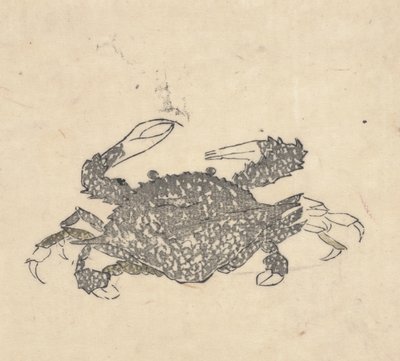 Crab (woodcut) 作者 桑形启斋