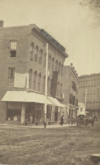 Hamlin & Co.商店，19世纪末。 作者 L·汤普森