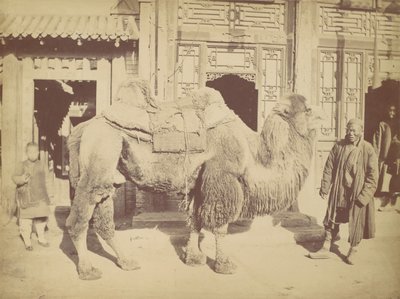 北京。第923号，1867年。 作者 赖芳。