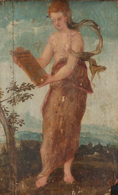 女人与文本面板 作者 Lambert Sustris (圈子)