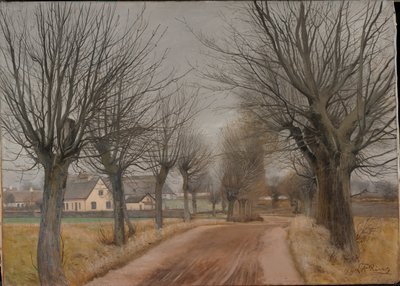 新西兰文德尔附近的一条道路，1898年。 作者 劳瑞特的安徒生戒指