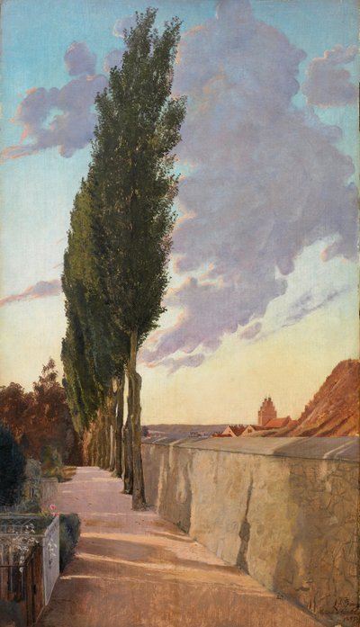 有杨树的风景。1895年9月的晚上。 作者 劳瑞特的安徒生戒指